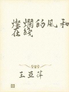 灿烂的风和海 在线