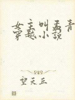 女主叫孟青萝的穿越小说