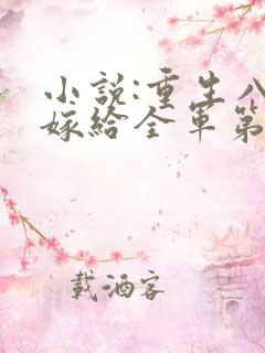小说:重生八零嫁给全军第一硬汉