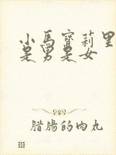 小马宝莉里云宝是男是女