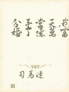 分手当天,我闪婚了亿万富豪正版