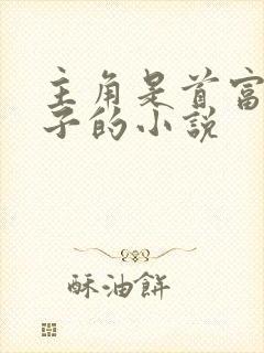 主角是首富的儿子的小说