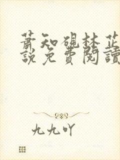 萧知砚林芷溪小说免费阅读最新章节