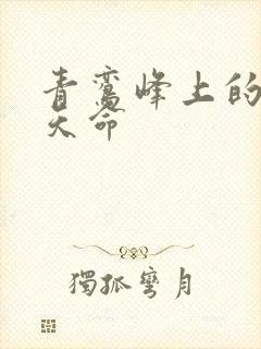 青鸾峰上的无敌天命