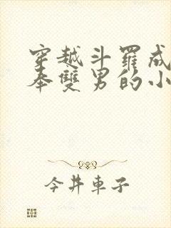 穿越斗罗成为供奉双男的小说