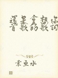 还是会想你是哪首歌的歌词