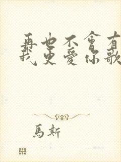 再也不会有人比我更爱你歌词