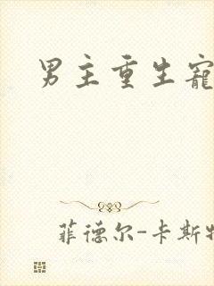 男主重生宠妻文