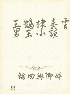 王鹤棣秦霄贤双男主小说