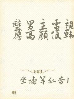 双男主电视剧推荐高颜值韩剧