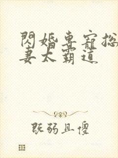 闪婚专宠总裁爱妻太霸道