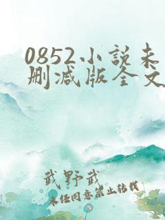 0852小说未删减版全文免费阅读