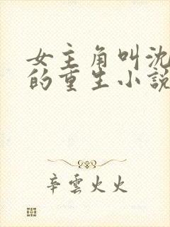 女主角叫沈知鸢的重生小说