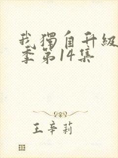 我独自升级第二季第14集