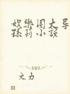 娱乐圈大导演 孙莉小说