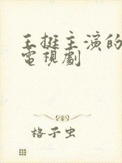 王挺主演的全部电视剧