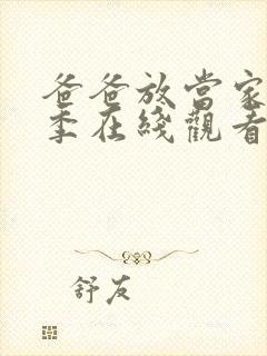 爸爸放当家第四季在线观看免费