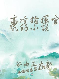 高冷指挥官被催眠的小说