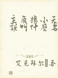 主角杨小天的小说叫什么名字