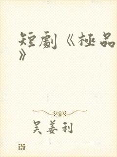 短剧《极品人生》