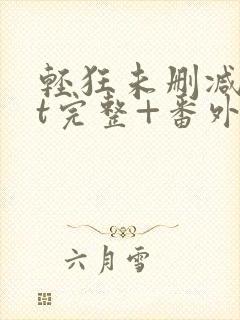 轻狂未删减txt完整+番外