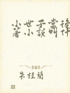 小世子当后妈原著小说叫什么名字