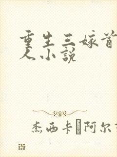 重生三嫁首长大人小说