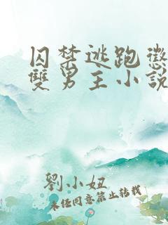 囚禁逃跑惩罚的双男主小说免费观看