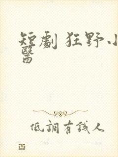 短剧 狂野小神医