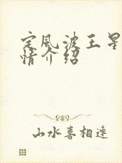 定风波王星越剧情介绍