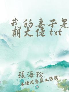 我的妻子是大乘期大佬 txt