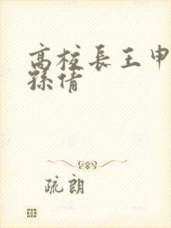 高校长王申赵振孙倩