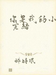 你是我的小确幸 完结