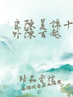 良陈美锦十个番外陈玄越