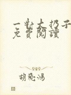 一对大扔子小说免费阅读