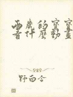 两岁的宝宝适合看什么动画片