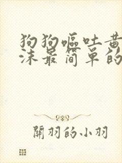 狗狗呕吐黄水泡沫最简单的方法