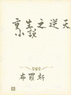 重生之逆天改命 小说