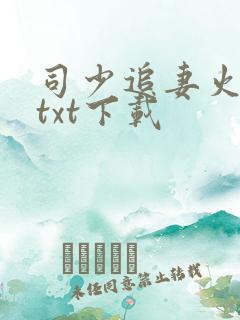 司少追妻火葬场txt下载
