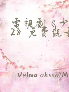 电视剧《少年派2》免费观看