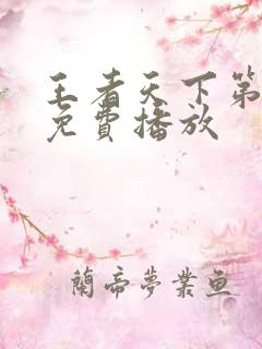 王者天下第6季免费播放