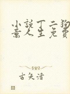 小说丁二狗的肆意人生免费阅读