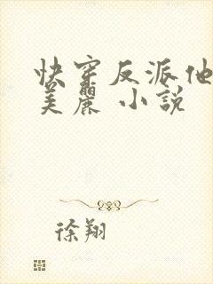 快穿反派他过分美丽 小说