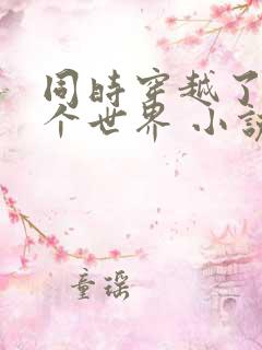 同时穿越了99个世界 小说