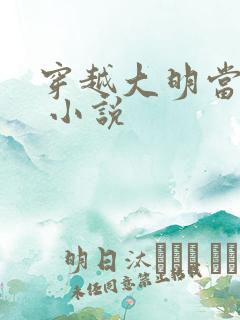 穿越大明当崇祯 小说