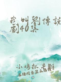 我叫刘传说电视剧40集