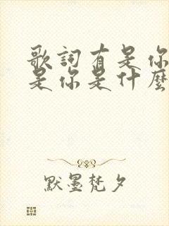 歌词有是你是你是你是什么歌