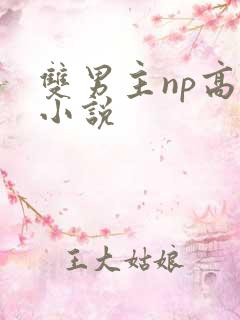 双男主np高h小说