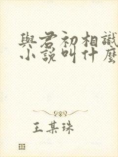 与君初相识原著小说叫什么