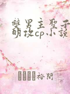 双男主圣子与神明攻cp小说